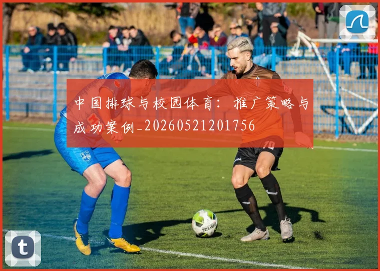 中国排球与校园体育:推广策略与成功案例_20260521201756