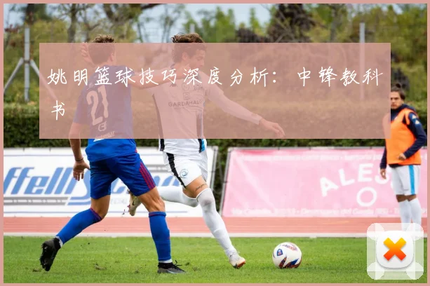 姚明篮球技巧深度分析：中锋教科书